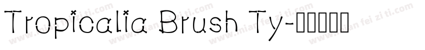 Tropicalia Brush Ty字体转换